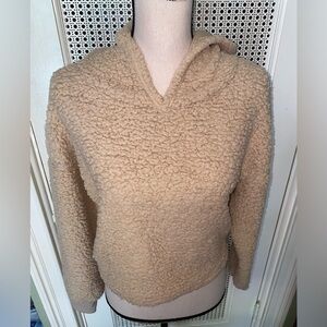 Zaful Forever Young Crop hooded Sweater